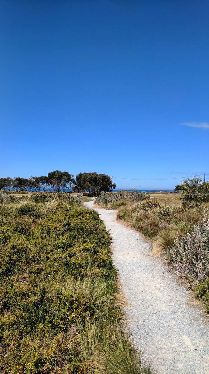 Jamesisies's tweet photo. Lovely day to be checking out Williamstown, eating fish and chips under the ever watchful eye of seagulls, walking along the Point Gellibrand Heritage Costal Walk, and popping to the beach. 🌞🚢🌊🌿 https://t.co/N4csIi7SIm