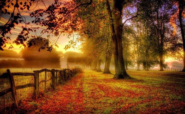 LaComplessata74's tweet image. 