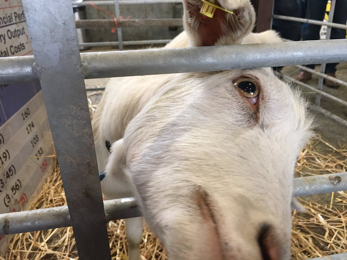 AgriKids tweet media