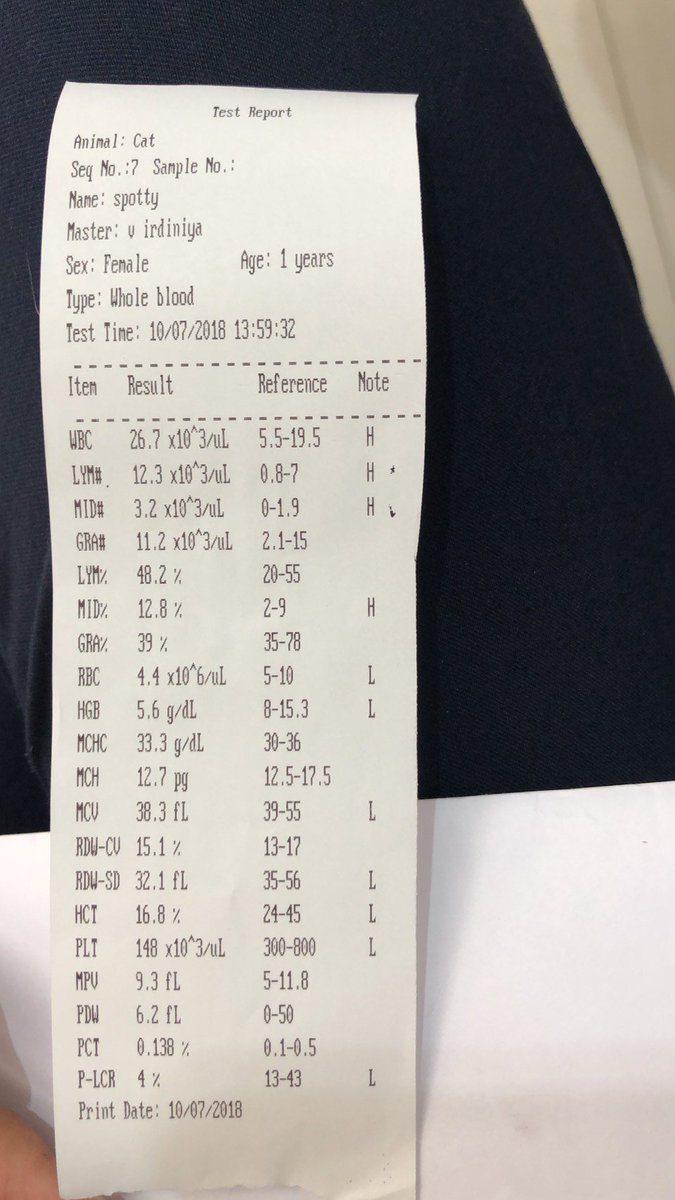 Download 4800 Gambar Hasil Cek Darah Terbaik Gratis HD