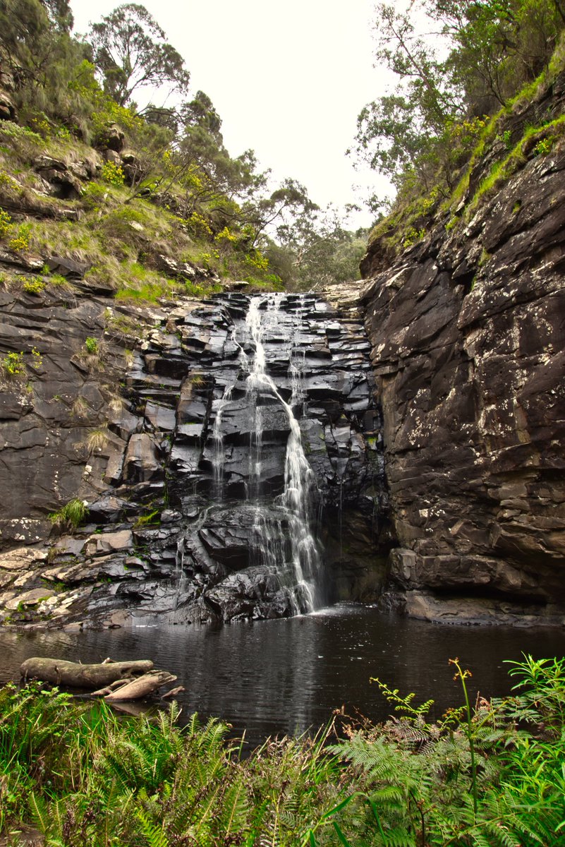 TravellingNikon's tweet image. Cape Otway Lightstation, Carisbrook Falls, Sheoak Falls, St. George River. #seeaustralia #parksvic #capeotwaylight #victoria