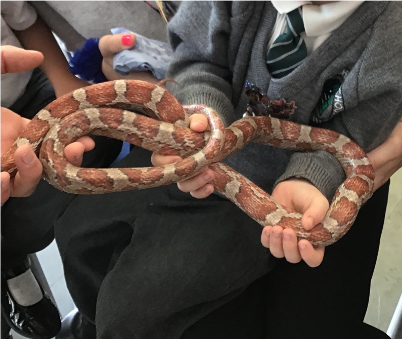 Churchill Westerham tweet media