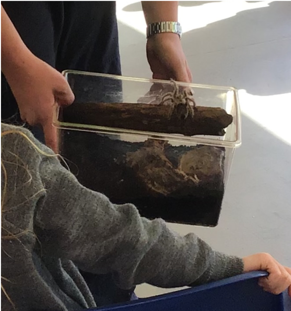 Churchill Westerham tweet media