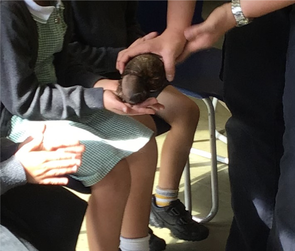 Churchill Westerham tweet media