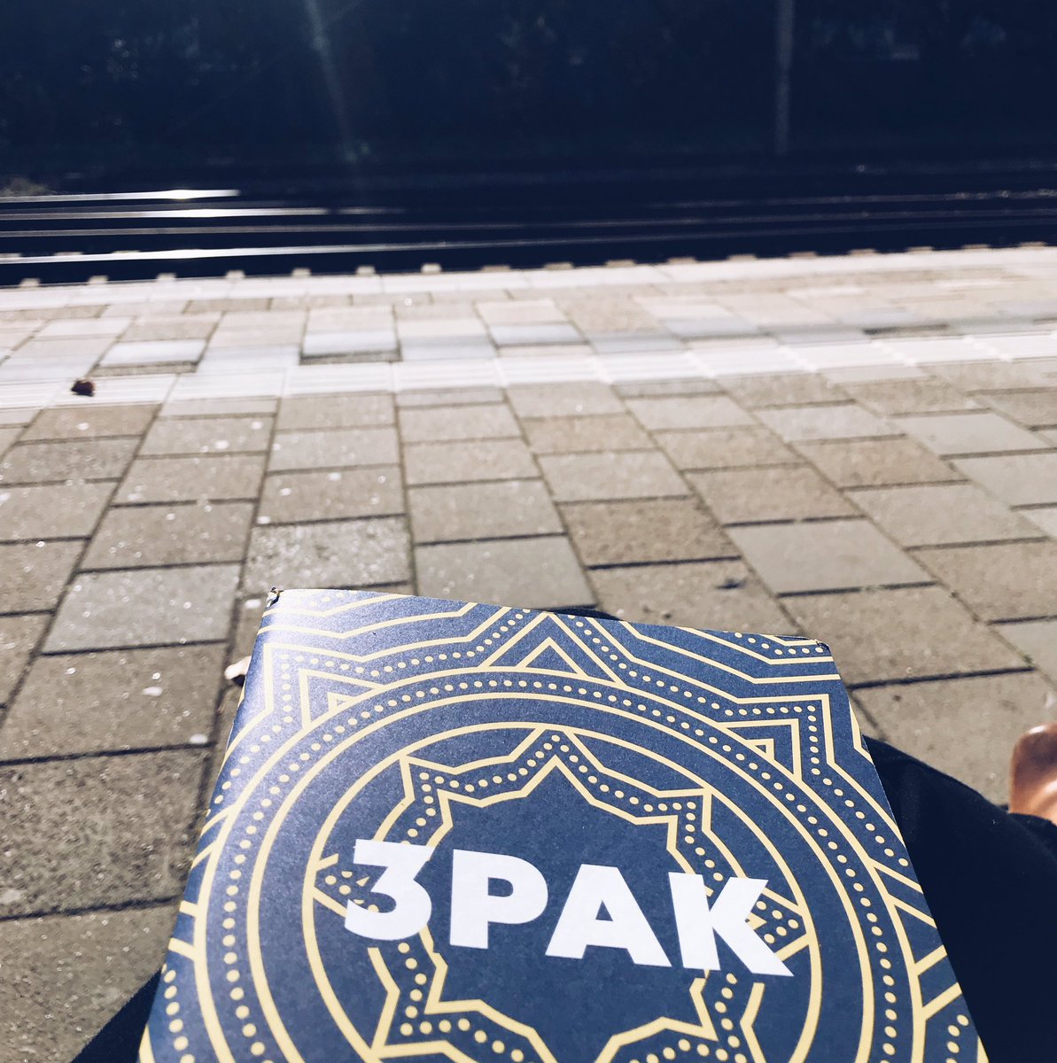 totheleonie's tweet image. Wachten op de trein met leesvoer. #3pak