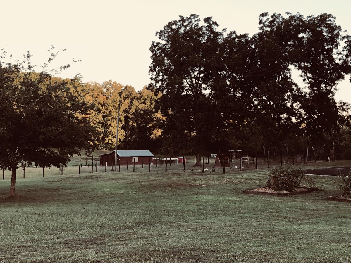 ClayneCrawford's tweet photo. ALERT! I do not reach out personally or ASK for $ from ANY of my Accounts! Lots of FAKE accounts out there, please do not fall victim! Have a beautiful Sunday! https://t.co/tvJebiG5C2