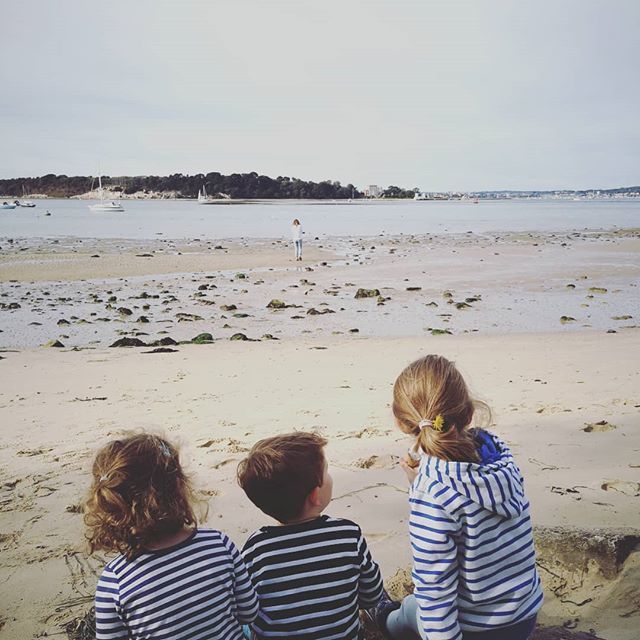 Baldwin Harris tweet media