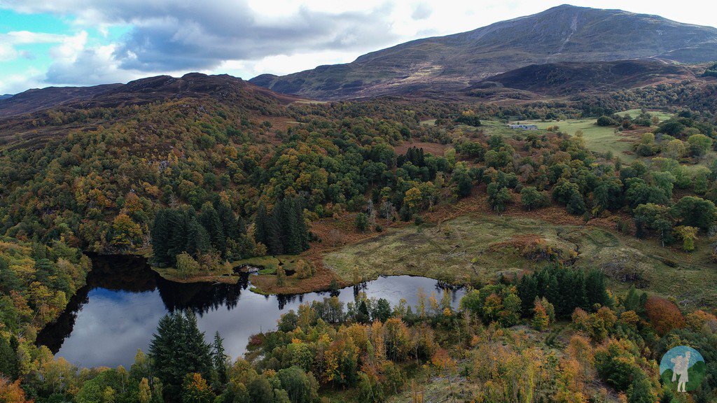 travelwithakilt's tweet image. Glorious autumnal colours across Perthshire yesterday. Big Tree Country at its radiant best....#Scotland #ScotlandIsNow @VisitScotland