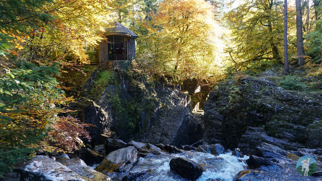 travelwithakilt's tweet image. Glorious autumnal colours across Perthshire yesterday. Big Tree Country at its radiant best....#Scotland #ScotlandIsNow @VisitScotland