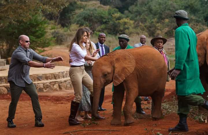 francisbook's tweet photo. Touring Africa here we are with USA First Lady Melania Trump in Nairobi. Come and experience real life in Africa. WhatsApp +256702737590 Francis Bukenya https://t.co/CDctOGlQLL