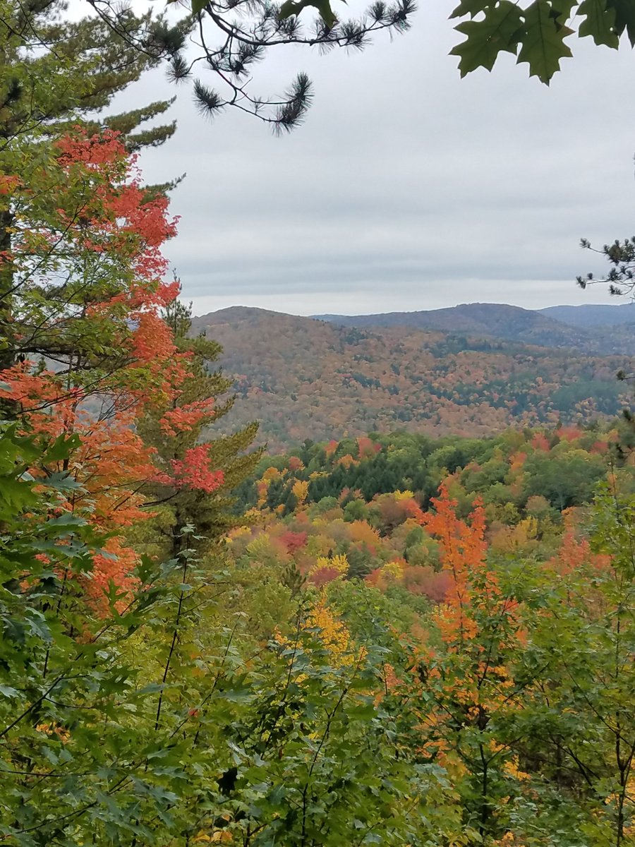 603Deb's tweet photo. Proud to support @boyscouts on this beautiful foliage hike and campout. #peakleaf #inthe802 https://t.co/bOoz9j6Sav