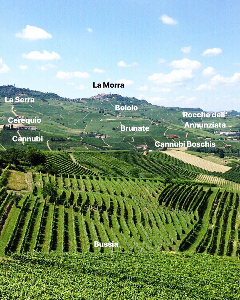 view from top of bussia sottana (close to aldo conterno winery “favot“) towards la morra, infamous cannubi hill in the centre🔝🙏🏻🇮🇹🍇