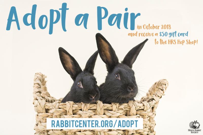 HouseRabbit's tweet photo. October is ADOPT-A-PAIR month at House Rabbit Society! When you adopt a pair in October, you receive a $50 gift card to our Hop Shop, where you can purchase toys, gifts, and treats (and more treats!). :)
https://t.co/88pflpKLxp
#AdoptDontShop
#rescue https://t.co/3tGkTZ5MRc