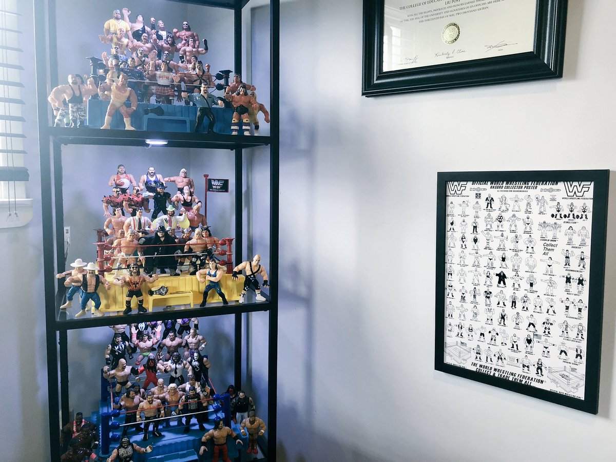 wwf hasbro display