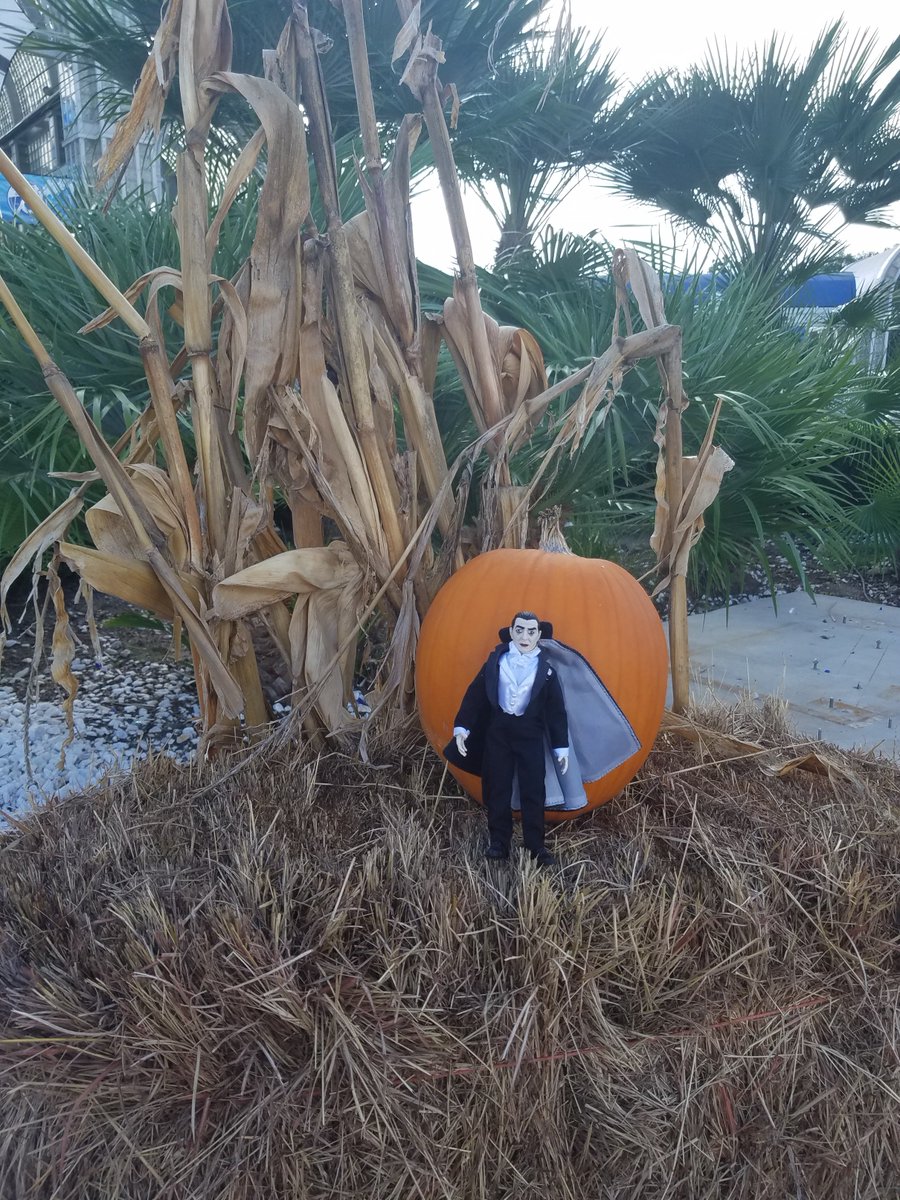 MEarthprime's tweet photo. This week #Target #Mego #BelaLugosi #Dracula visited #SeaWorld #Texas during there #HowlOScreamTX event.  To see more photos please visit:

https://t.co/ZeVQl6NdnH

#Halloween #Halloween2018 #toyphotography #roadtrip #SanAntonio @howloscreamtx #SpooktacularTX https://t.co/NDYfyMxt7o