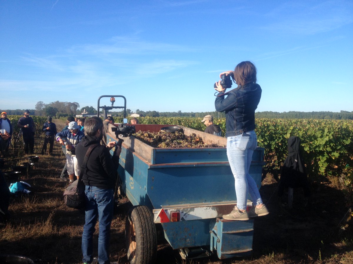 SauternesUnion's tweet photo. Une journée magnifique à #Sauternes.  La cave lance le millésime : des apporteurs  enthousiastes, une trie de  rêve et pour couronner le tout , une équipe photo venue immortaliser l'évènement... #Tutiac #Botrytis #vendanges2018 #Vignerons https://t.co/RimU6sk5d5 … https://t.co/Y14GWB8ns3