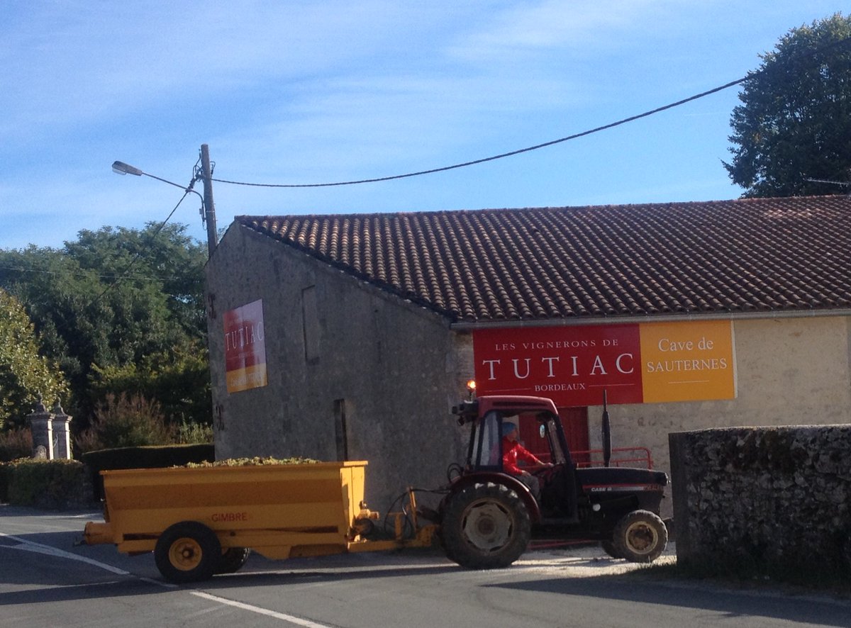 SauternesUnion's tweet photo. Une journée magnifique à #Sauternes.  La cave lance le millésime : des apporteurs  enthousiastes, une trie de  rêve et pour couronner le tout , une équipe photo venue immortaliser l'évènement... #Tutiac #Botrytis #vendanges2018 #Vignerons https://t.co/RimU6sk5d5 … https://t.co/Y14GWB8ns3