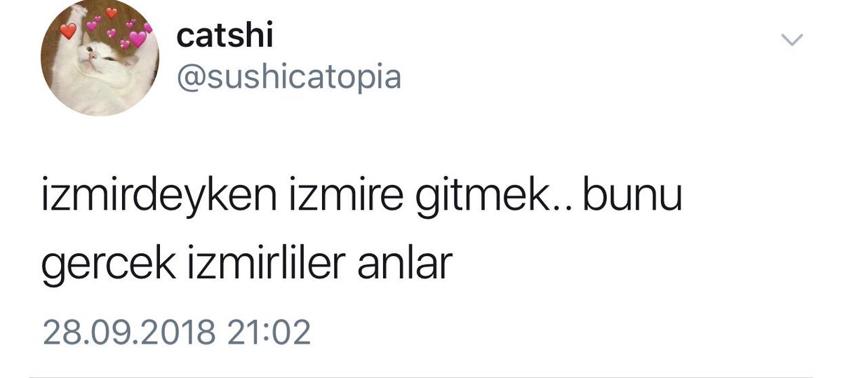 İzmir Geyik (@izmirgeyik) on Twitter photo 