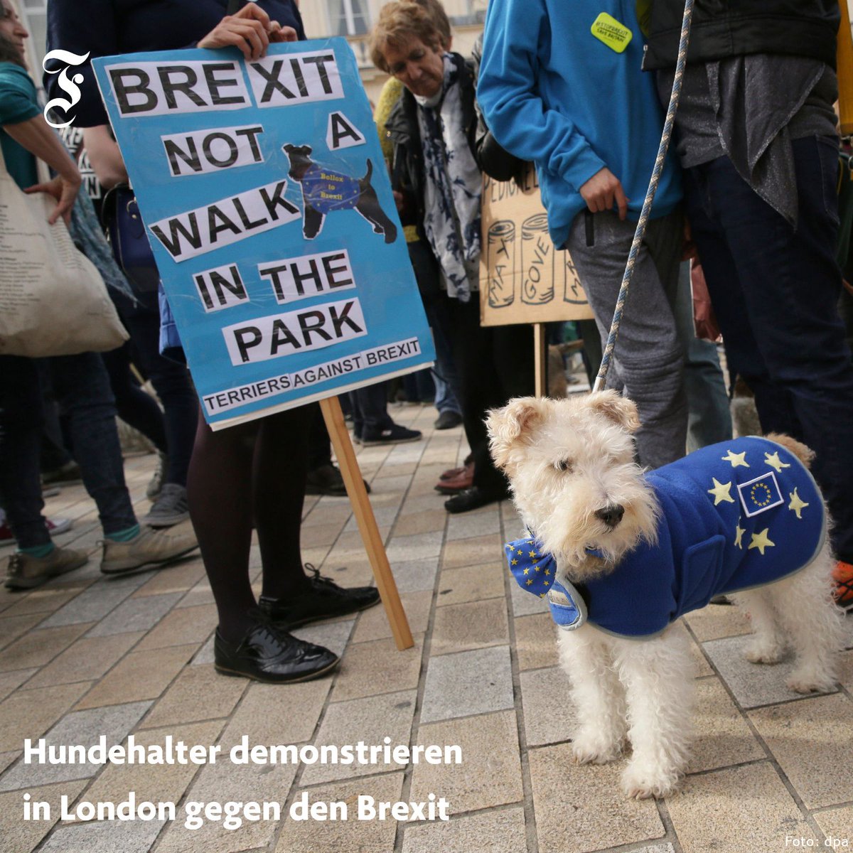 faznet's tweet image. Der EU-Austritt Großbritanniens ist ein trockenes Thema. Deshalb haben Hundehalter beschlossen, ihren Protest mit Humor zu gestalten.  Unter dem Motto #Wooferendum fordern sie eine Volksabstimmung über das finale Abkommen zum #Brexit. buff.ly/2pEUbLy