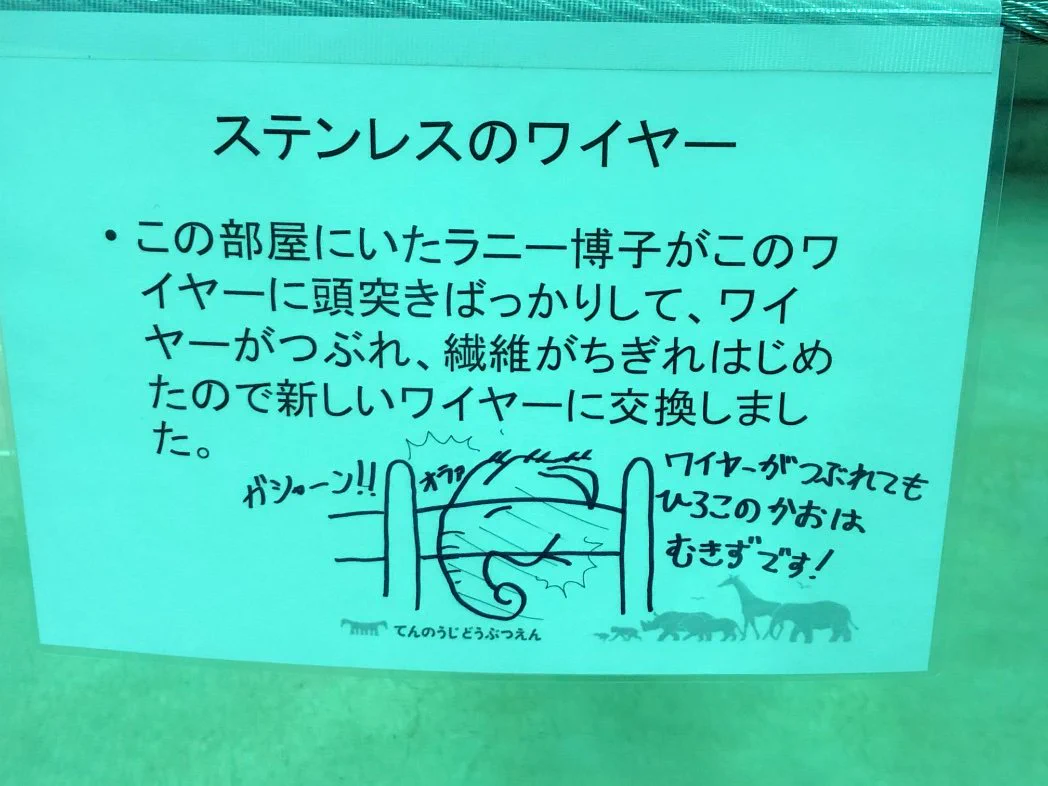 これは機転がきいている！空っぽの象舎を見学できる動物園！！
