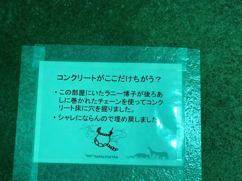 これは機転がきいている！空っぽの象舎を見学できる動物園！！