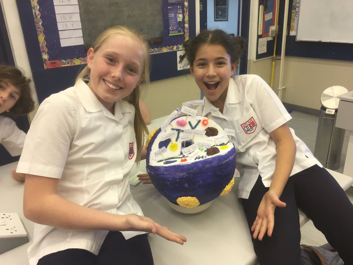 DCol_Physics's tweet image. Cell models from Y7 scientists today.. #yummy #scientificmodels