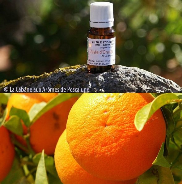 PescArome's tweet photo. HE Orange douce #bio (Citrus sinensis)  est à nouveau disponible!  Gorgée de #soleil #Corse ;-)  https://t.co/2JZaQykkjp https://t.co/OyyiFTSsqT
