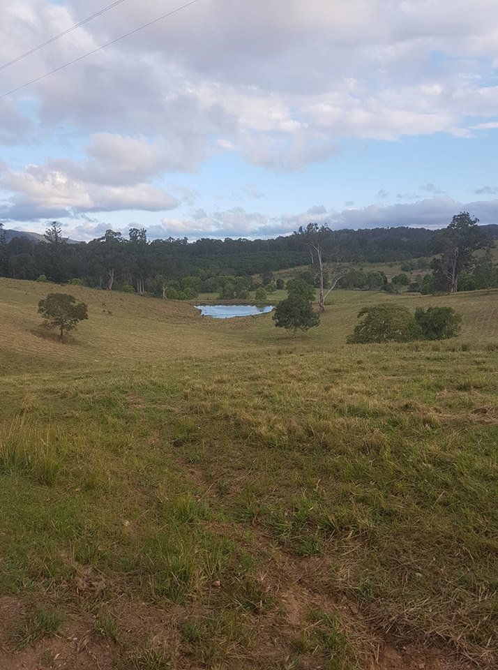 APracticalLife1's tweet image. Farmlife is best.