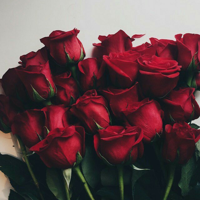 JongdaeLil's tweet photo. -𝓎𝑜𝓊 𝒽𝒶𝓋𝑒 𝒩𝒪 𝒾𝒹𝑒𝒶 𝒽𝑜𝓌 𝒻𝒶𝓈𝓉 𝓂𝓎 𝒽𝑒𝒶𝓇𝓉 𝓇𝒶𝒸𝑒𝓈 𝓌𝒽𝑒𝓃 𝒾 𝓈𝑒𝑒 𝓎𝑜𝓊.💫💗

#EXOLSeIcaDay @weareoneEXO https://t.co/UQsomJxnkJ