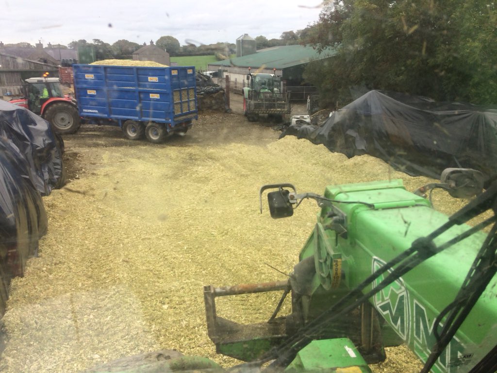 WilliamsTegid's tweet photo. Nice to have the maize ๐พ coming in today ๐. I will feel much happier when itโs all safe in the clamp. Bales doing a good job ๐๐. #maize18 https://t.co/WyeYRf7T9P