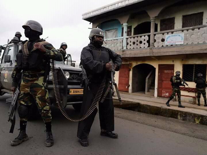 Free Southern Cameroons tweet media