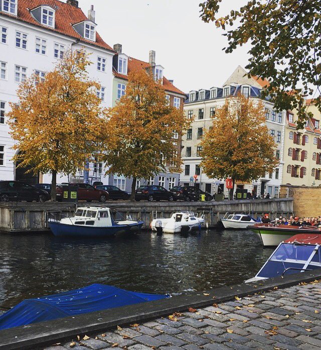 ChristinaBN's tweet photo. 🍂🍁👌🏼 #fall #copenhagen https://t.co/zJUdhqIWNh