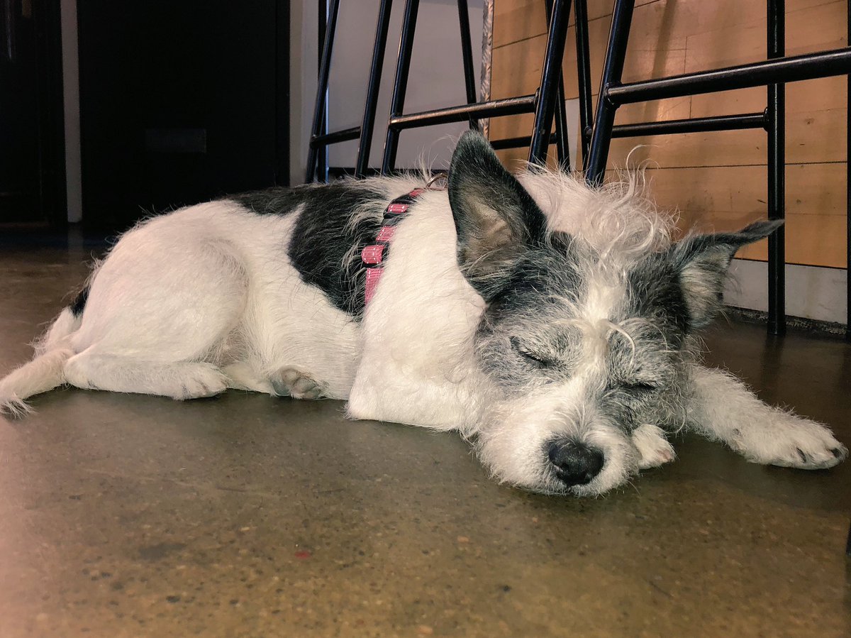 100% relate #sundaymood