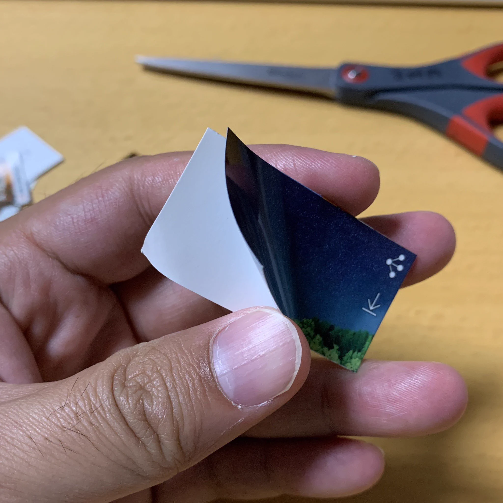 これは欲しい！現像がめんどくさくてしていなかった写真もこれなら簡単！！