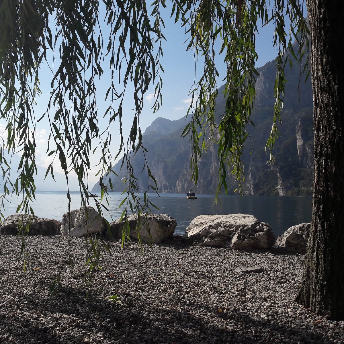 GardaTrekking's tweet photo. Splendida giornata a passeggio! #gardatrekking #lagodigarda https://t.co/w28Kr76Irg