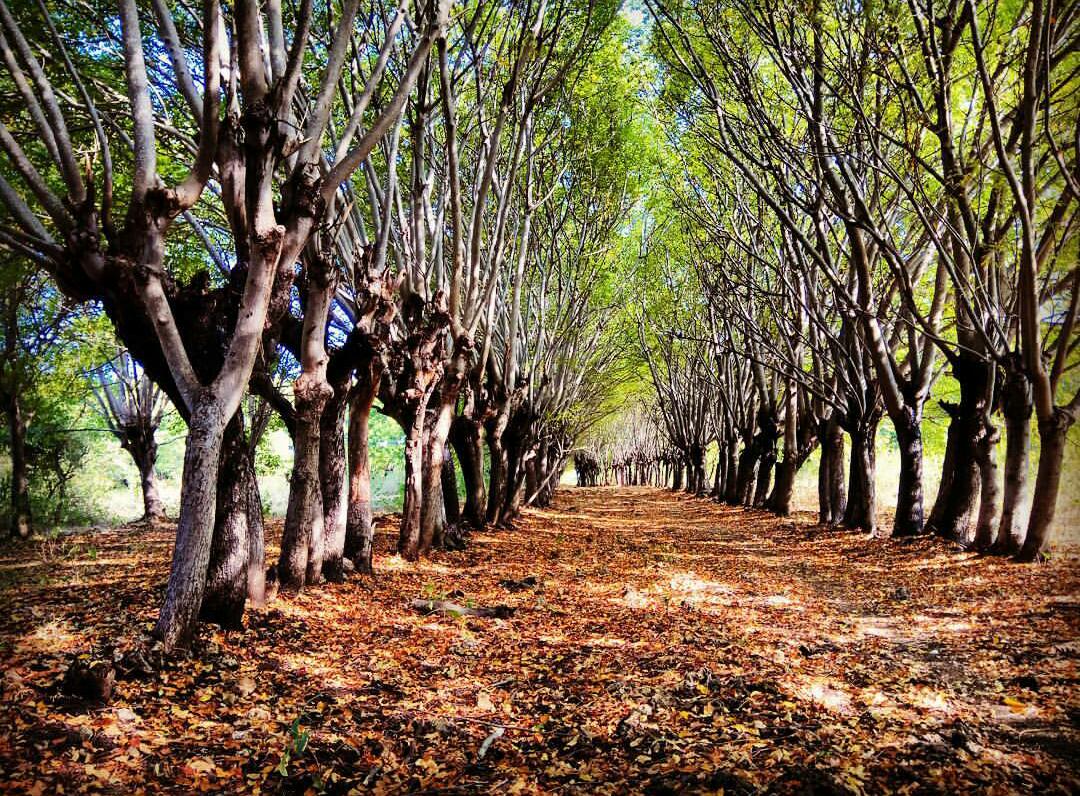 Mupeeng pose  di gili genting.
Mana <a href="/amethyst_aiko/">Erna</a>  tanggung jawab yaaa nganterin akoo
#PesonaKemilauMadura