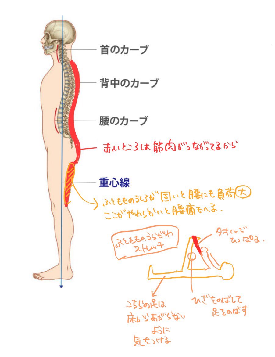 自分でストレッチします 