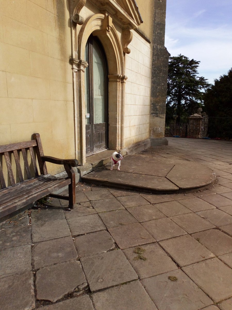 GemmaCookHurley's tweet photo. Slow walk (and sometimes carry)... Of my beautiful majestic bear around Ashton Court. 🐻 ☀ 🍃 🐶 #frenchy #autumn #relaxathon https://t.co/Enq59Yw7i8