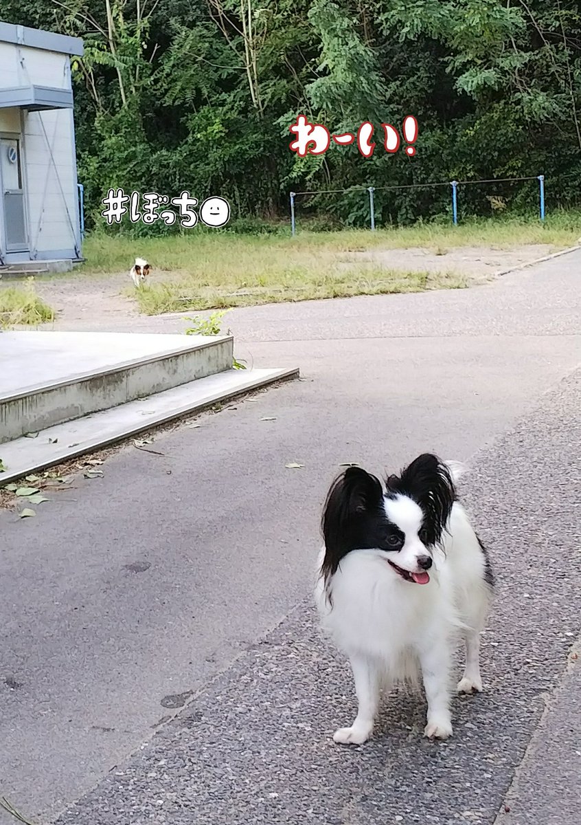 ここまでおいで ここまでおいで