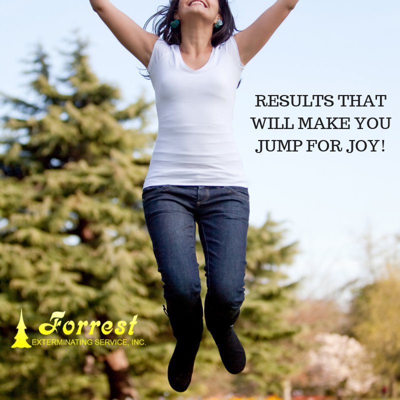 ForrestExterm's tweet image. You know its how you feel when your yard has no mosquito&apos;s during a party :)  #termites #pestcontrol #moisturecontrol forrestexterminating.com