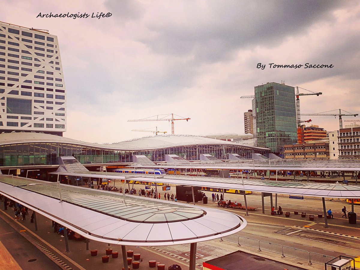 Archaeologists Life tweet media