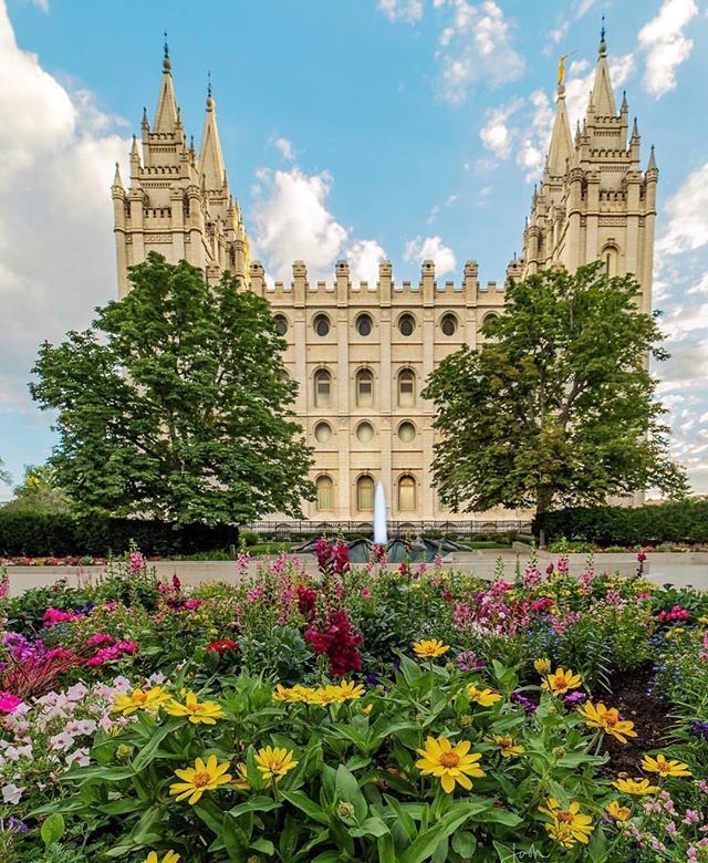 onetempleaday's tweet photo. Salt Lake, Utah
PC: @lds.temple.photos
#ldstemple #latterdaysaints #mormon #ldstempleaday #saltlaketemple #generalconference https://t.co/rMXCDmXugs https://t.co/cVCwjlUKHF