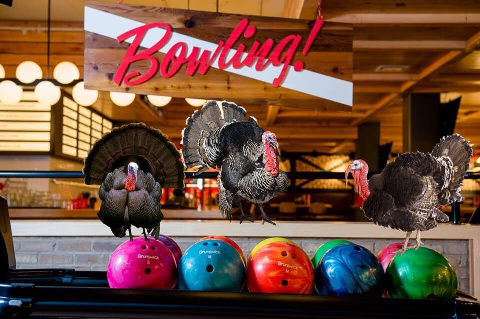 High Rollers tweet media