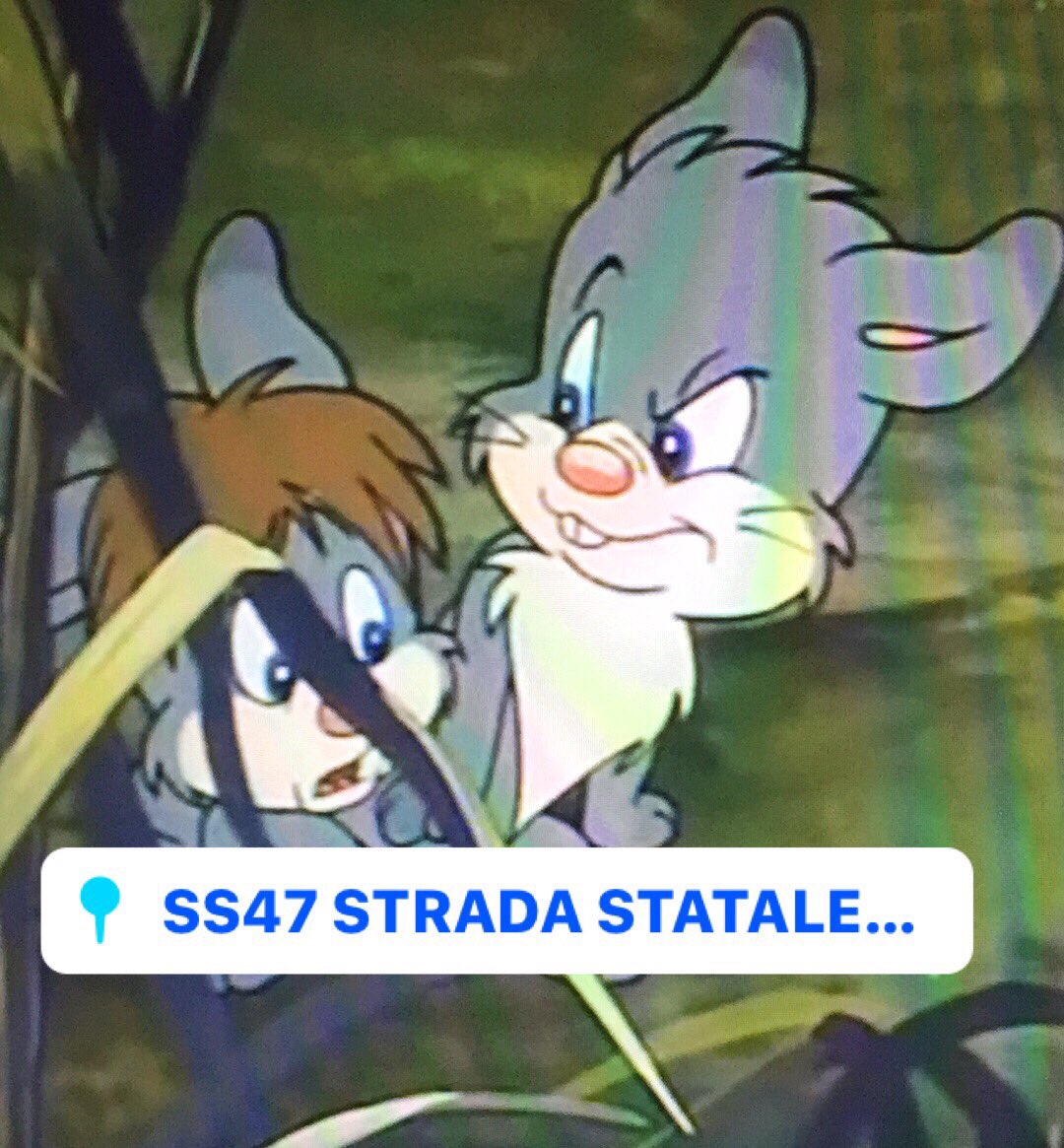 LauraGava3's tweet photo. @Vicenza_Today https://t.co/4SSONXU8p5