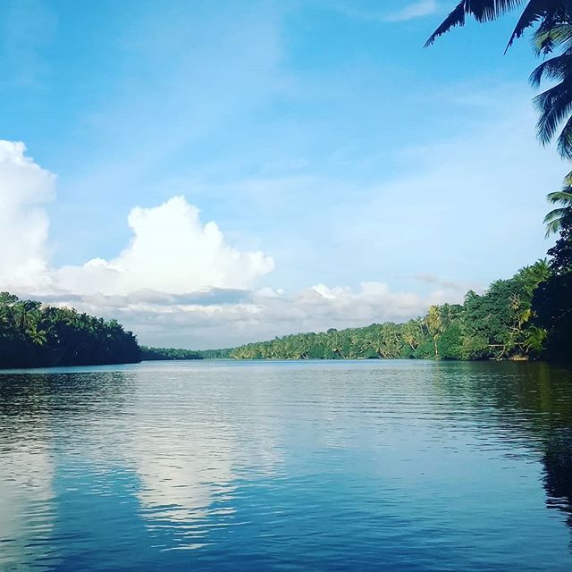 xperiencekerala's tweet photo. Amazing view of the backwaters from Munroe Island- Kollam! . . . #travel #instatravel #travelgram #tourist #tourism #vacation #traveling #instagood #instadaily #nature #green #kerala #godsowncountry #keralatourism #southindia #india #incredibleindia #trav… https://t.co/hRKQHHbpF7