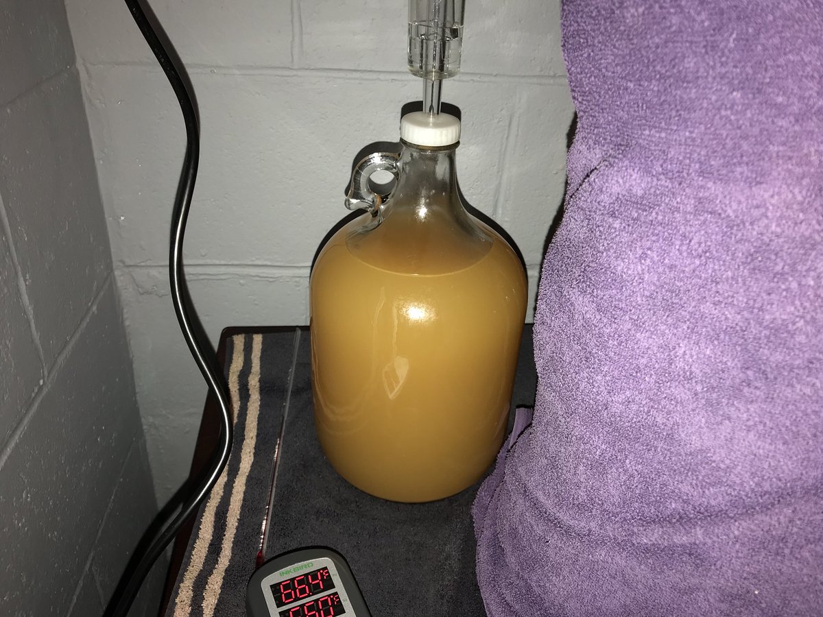 BloggingBrew's tweet photo. Got a cider batch going on the side. Will be ready to drink in a little over a month.
#hardcider #bloggingbrew https://t.co/ELBL1y4WhV