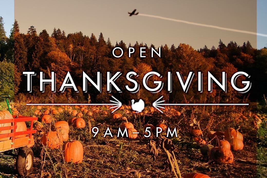 CWHM's tweet photo. Happy Thanksgiving this weekend! Come check out our collection of almost 50 aircraft from Canada's military aviation history. Open 9 am to 5 pm daily. Visit https://t.co/q8fabcdOFP https://t.co/DXdvXkY4qg