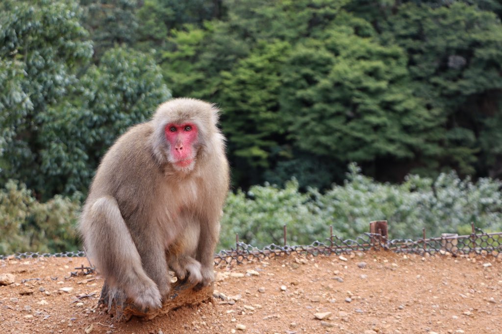 codibyte (@codibyte) | Twitter