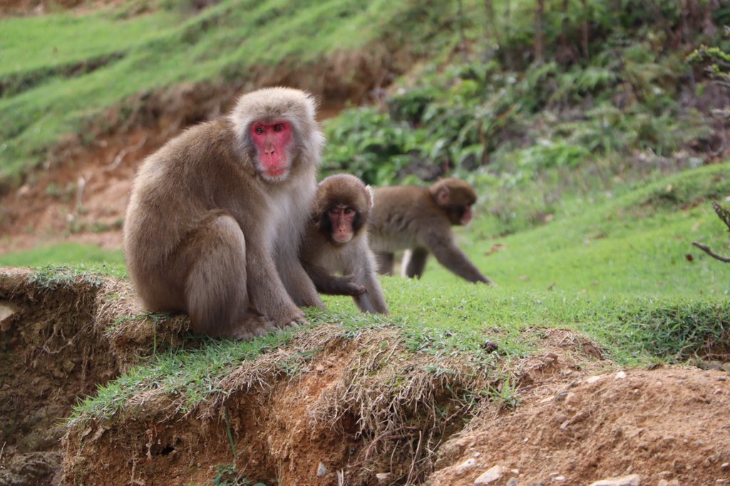 codibyte (@codibyte) | Twitter