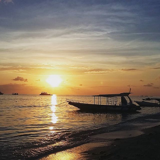 LoveClearOceans's tweet photo. Sunrise, my favourite ocean time..... what's yours?

#loveclearoceans #ourocean https://t.co/t14VxzfImR